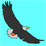 The Spirit Of The Eagle