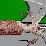 Squid Episode 3