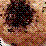 -intense-import- beta 1.0