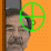 Saddam's Doubles