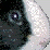 Sterk ~ the movie