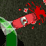 Park-A-Lot Splatter Bonus