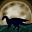 Welcome to Dragon Scratch