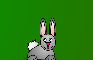Bunny Fun 2 Relase 2