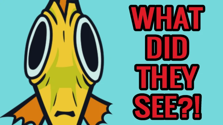The Fish Who Saw Too Much