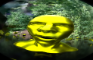 VOID