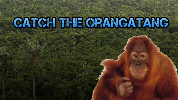 Catch the Orangatang