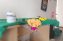 Johnny bravo goes for a swim