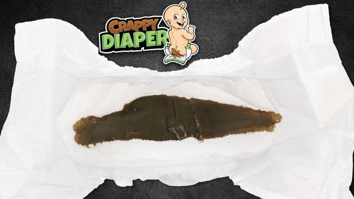 Pamperchus Nightmare Of Dark