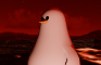 Silly Pidgeon goes for walk