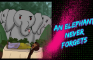 An Elephant Never Forgets