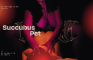 Succubus Pet