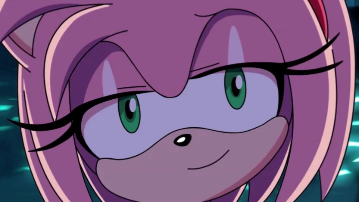 Amy Rose Chainsaw man reference