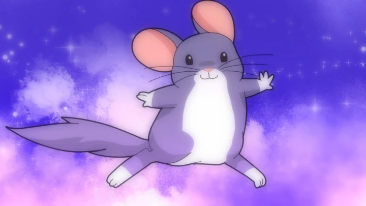 Waltz of the Flowers with Chinchillas | by Wondertina