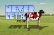 Never Let a Cow Poop