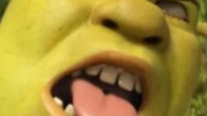 shrek is pregnant with Aids