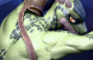 Argonians - Hide Away (Climax Alt)