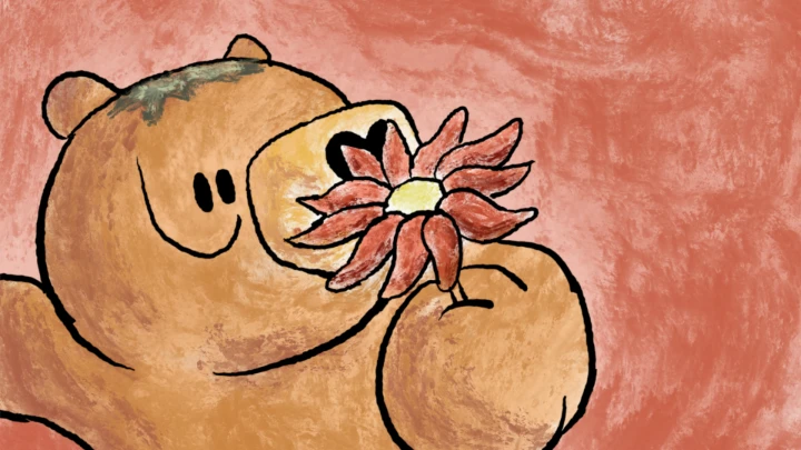 Flower Umbrella🌹
