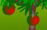 Apple Break