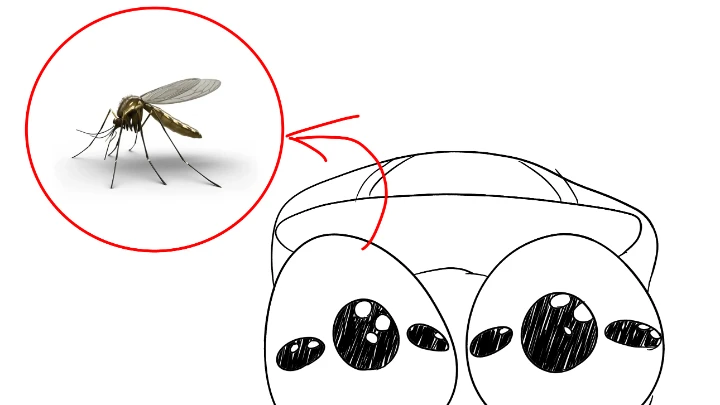 SillyMosquito.avi
