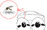 SillyMosquito.avi