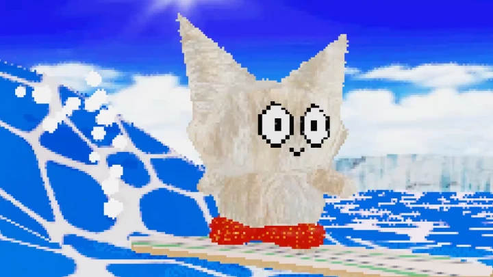 cat surf