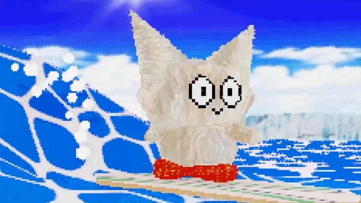 cat surf