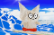 cat surf