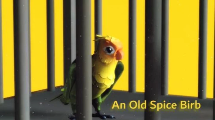 The 𝓞𝓵𝓭 𝓢𝓹𝓲𝓬𝓮 Birb 🐦🎶