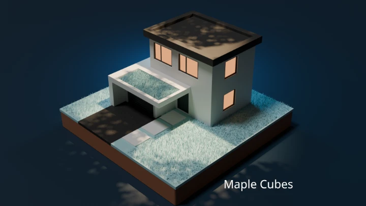 Polygon Runway House - Maple Cubes Edition