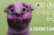 "A Squonk's Day" Stop Motion Animated Short Film