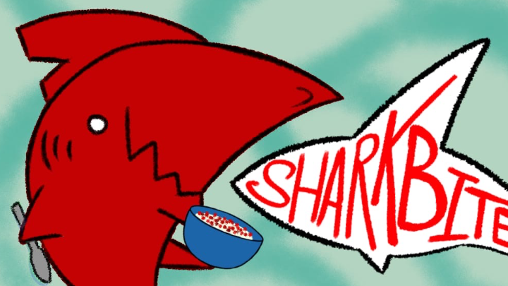 Shark Bites