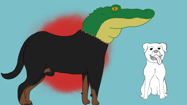Alligator Dog