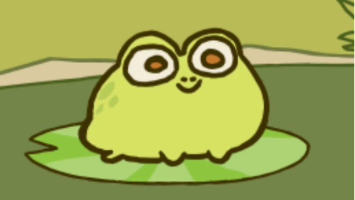 Frog friend