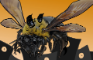 Episode 19: Story of the Massive Evil Bee