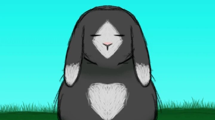 bunny