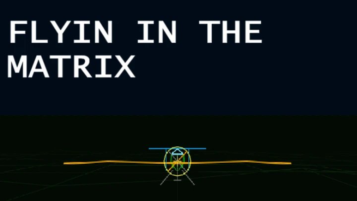 Flyin in the Matrix