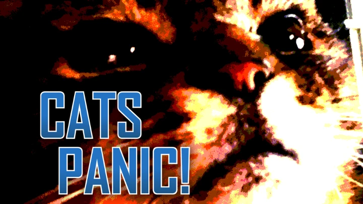 Cats Panic!