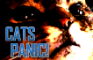 Cats Panic!