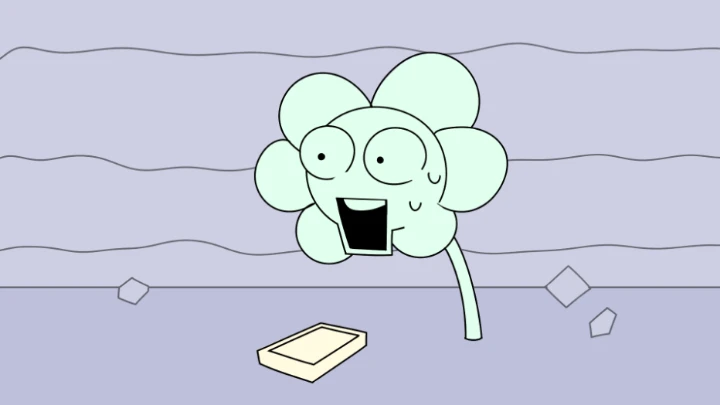 CLOVER YOU FUCKING IDIOT