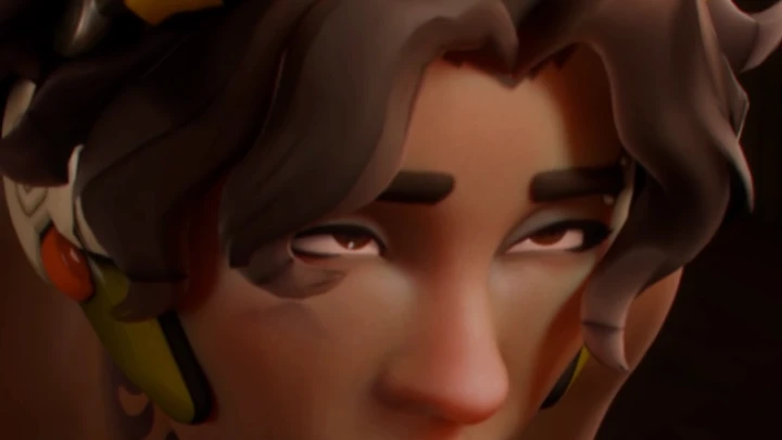 venture spitroast
