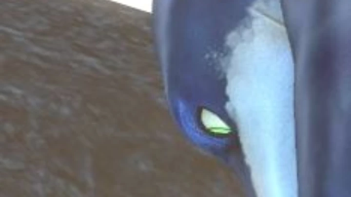 Short - Shark 1