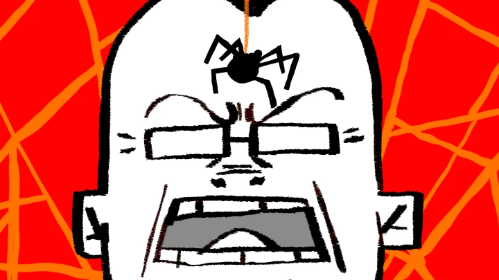 SPIDER