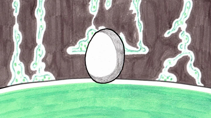 1-Four Seasons For An Egg