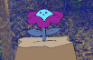 Flower Quest