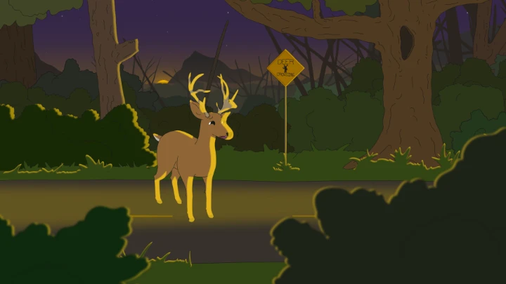 How Deer Get Stuck In The Road