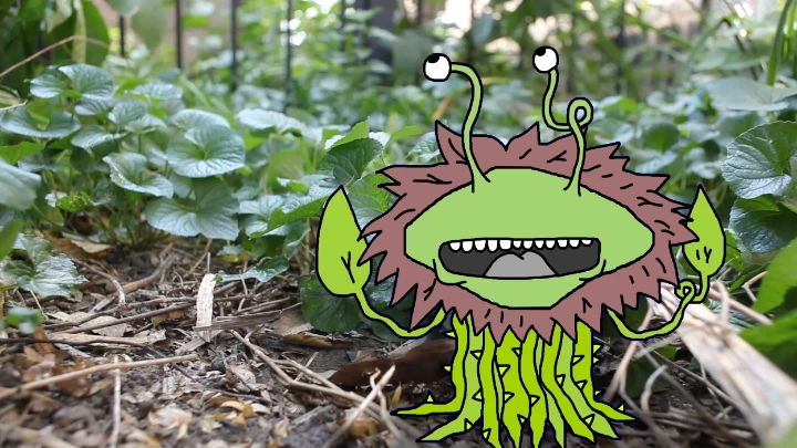 Off the Air: Plants Arguing