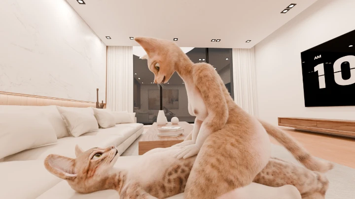 Cat play
