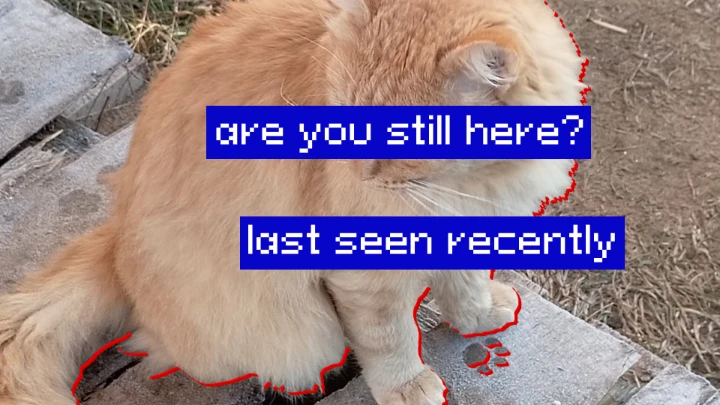 last seen recently