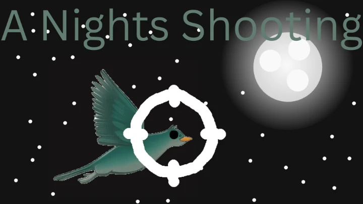 A Night Shooting